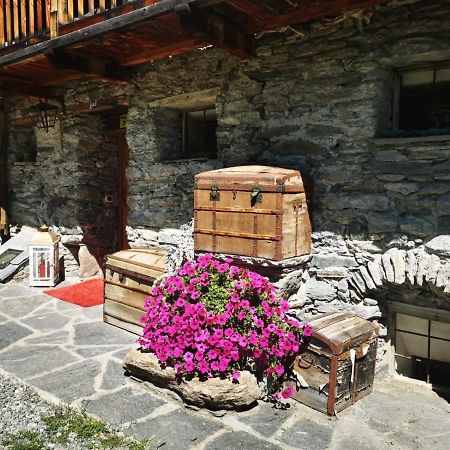 Maison Le Cler Valtournenche Εξωτερικό φωτογραφία